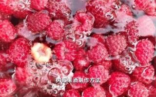 树莓果酒制作方法,树莓果酒制作方法视频【띲띪띺띧】