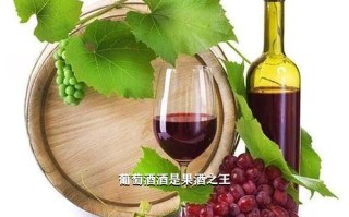 葡萄酒酒是果酒之王,葡萄酒是果酒的一种吗【띲띪띺띧】