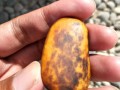 真正的和田黄玉,如何鉴定和田玉的黄玉籽料的价值？